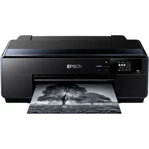 Замена вала на принтере Epson SureColor SC-P600 в Волгограде